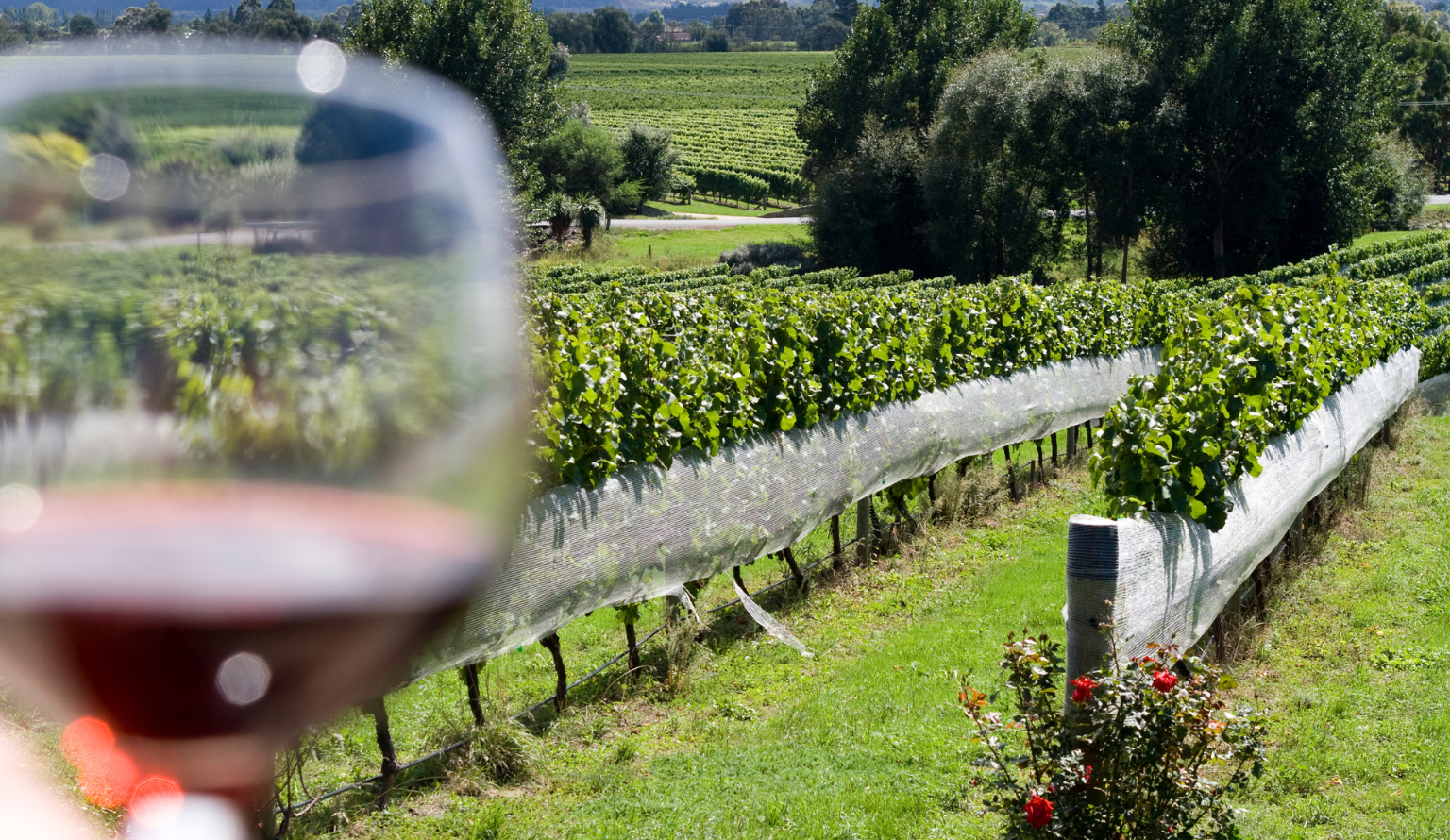 Hastings - EmbroidMe Opportunity