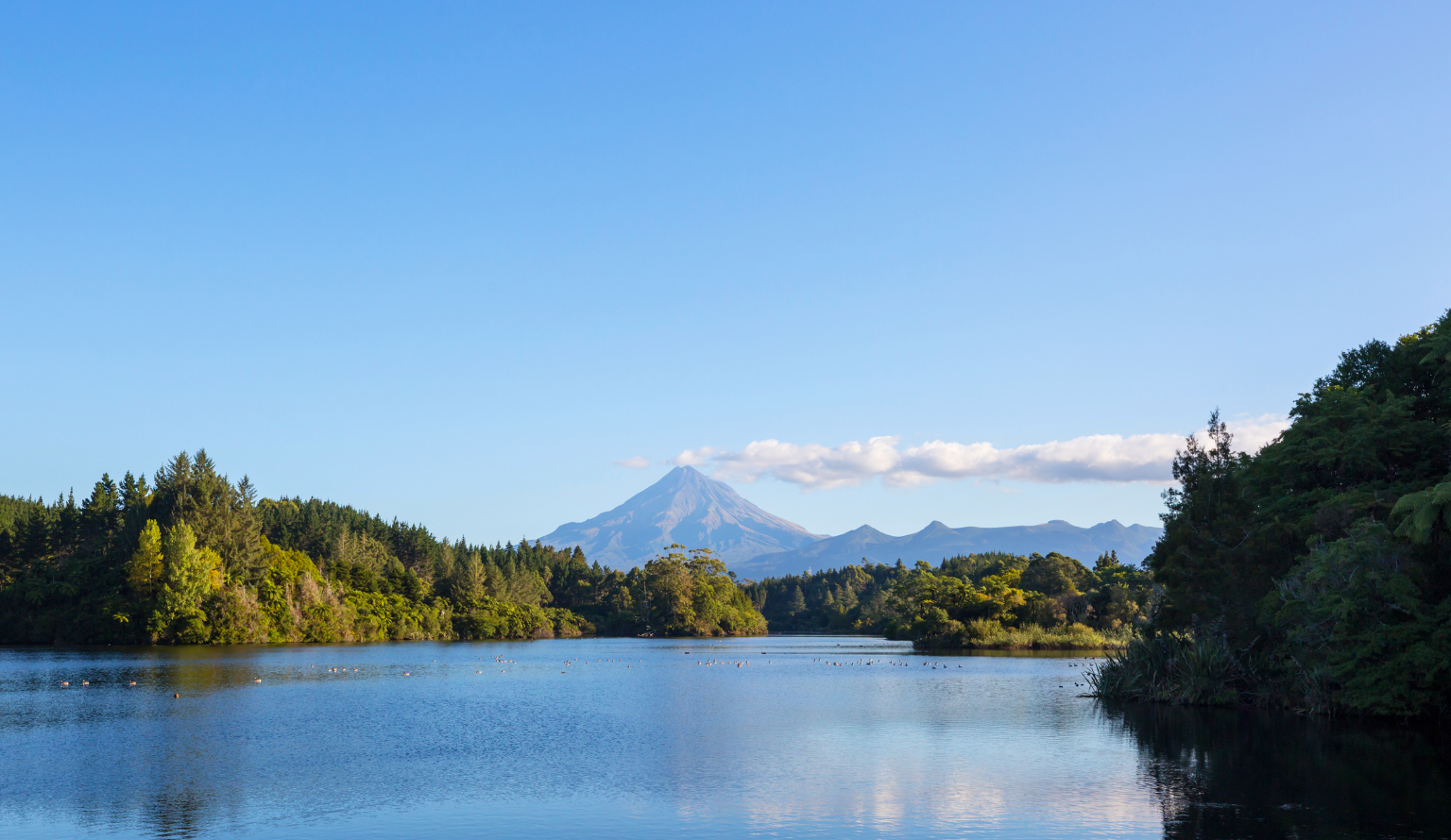 New Plymouth - EmbroidMe Opportunity